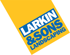 Larkin and sons
